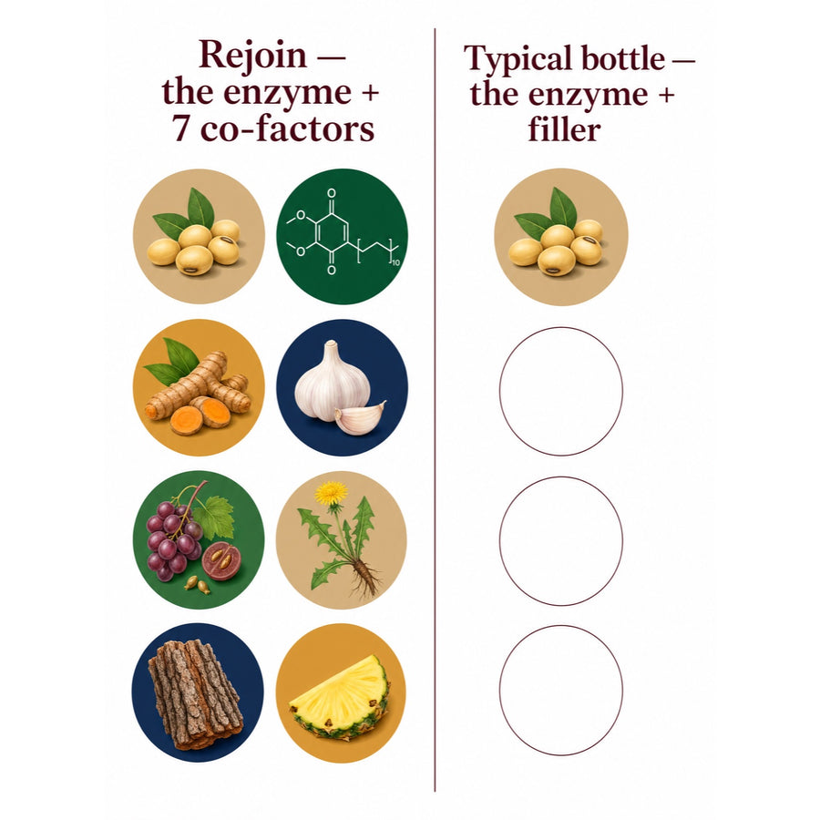 Rejoin's seven co-factors compared with a typical filler-heavy nattokinase capsule