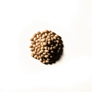 Nattokinase 10,000 FU