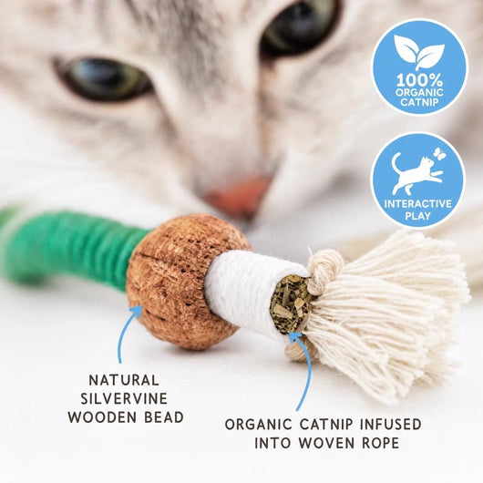 PawSnoozie™ Interactive Cat Chew Ropes - PawSnoozie